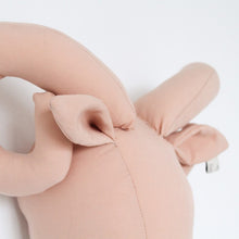 Fabels Out Of Vintage Ram – Terra Pink