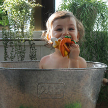 Oli and Carol Cathy the Carrot