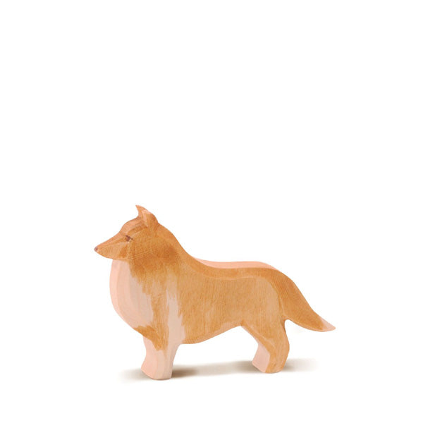 Ostheimer Collie