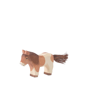 Ostheimer Shetland Pony Standing