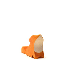 Brin d'Ours Fox - Sitting