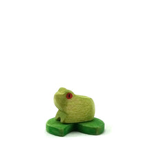 Brin d'Ours Frog