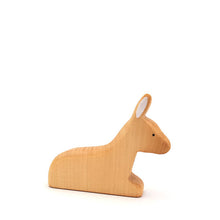 Brin d'Ours Lying Donkey