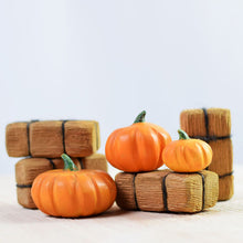 Bumbu Toys Haystacks & Pumpkins SET