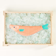 Don Fisher Fish Pencil Case - Red Mullet