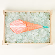 Don Fisher Fish Pencil Case - Red Mullet