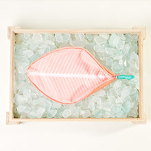 Don Fisher Fish Pencil Case - Red Mullet