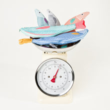 Don Fisher Fish Pencil Case - Red Mullet