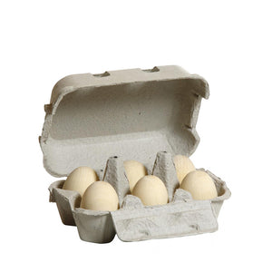 Erzi Eggs - White Sixpack