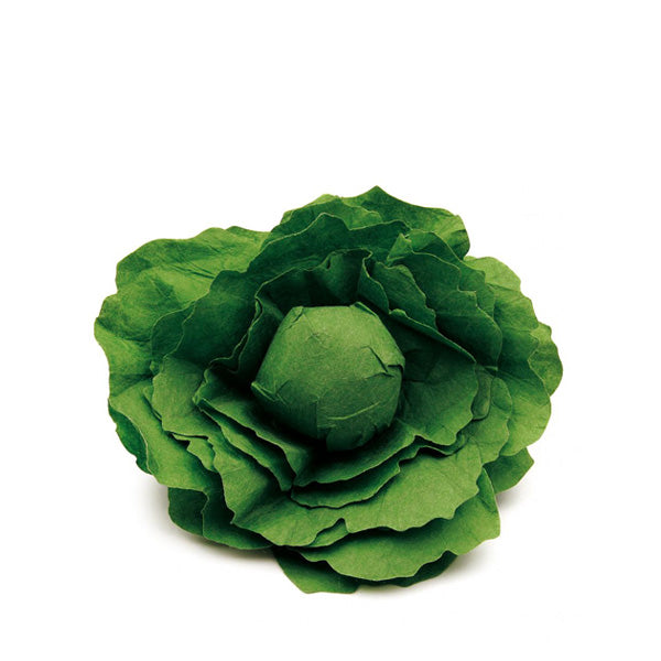 Erzi Lettuce