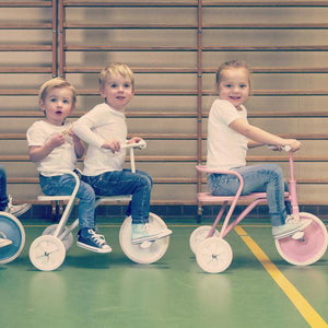 Foxrider Tricycle – Pink