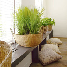 Seagrass Basket Tanan – Natural