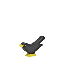 Holztiger Blackbird