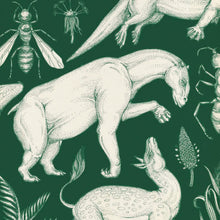 Het Boek van de Evolutie by Katie Scott and Ruth Symons – Dutch