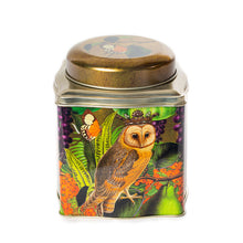 Madame Treacle Tea Caddy - Owl