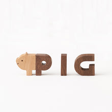 Oioiooi Alphabet Play Block Set