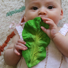 Oli and Carol Kendall the Kale