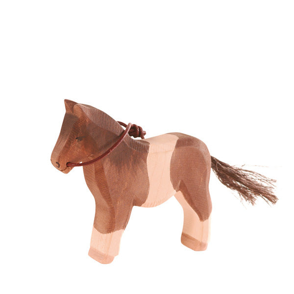 Ostheimer Shetland Pony - Standing