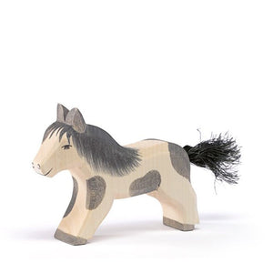 Ostheimer Shetland Pony - Running