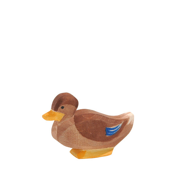 Ostheimer Duck - Sitting