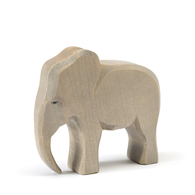 Ostheimer Elephant – Bull