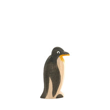 Ostheimer Penguin - Beak Straight