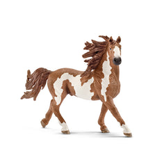 Schleich Horse - Pinto Stallion