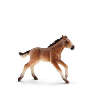 Schleich Horse - Mustang Foal