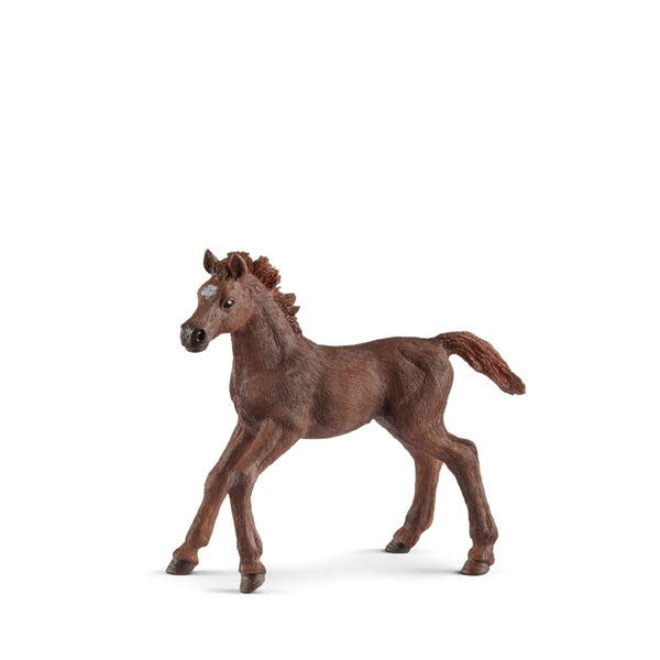 Schleich Horse - English Thoroughbred Foal