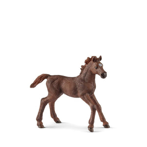 Schleich Horse - English Thoroughbred Foal