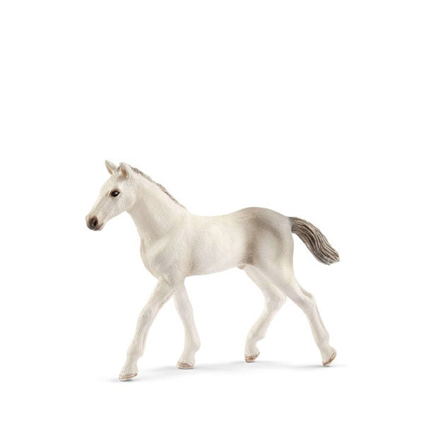 Schleich Horse - Holsteiner Foal