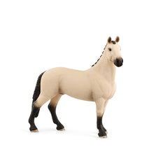 Schleich Horse - Hanoverian Gelding, Red Dun