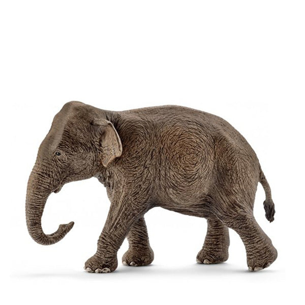 Schleich Asian Elephant – Female