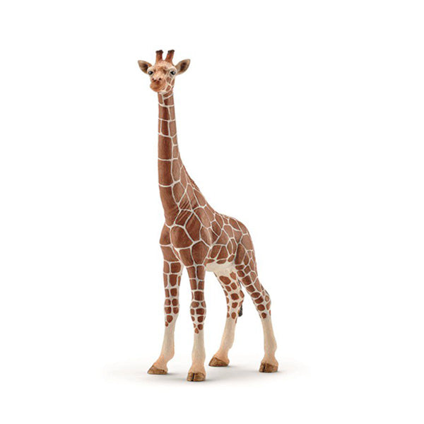 Schleich Giraffe – Female