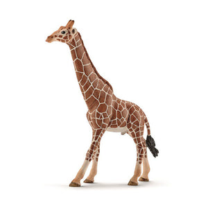 Schleich Giraffe – Male