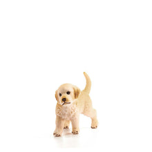 Schleich Golden Retriever - Puppy