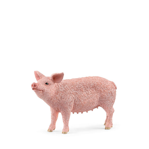 Schleich Pig