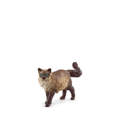 Schleich Ragdoll Cat