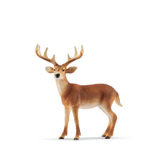 Schleich White Tailed Buck