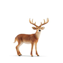 Schleich White Tailed Buck