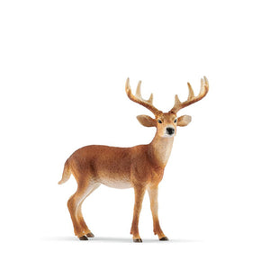 Schleich White Tailed Buck