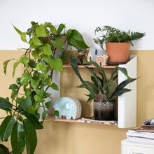 Sebra Embrace Shelf - Double - Classic White