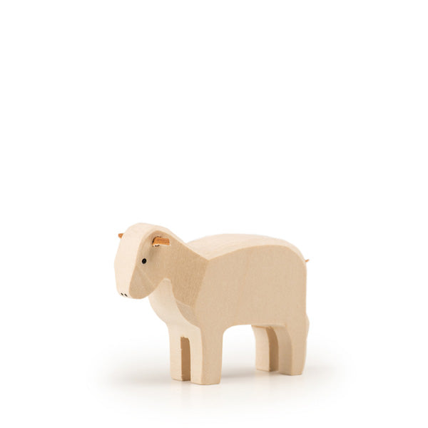 Trauffer Sheep