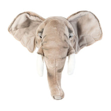 Wild and Soft Animal Head – Elephant George - Elenfhant