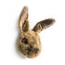 Wild and Soft Animal Head – Hare Lewis