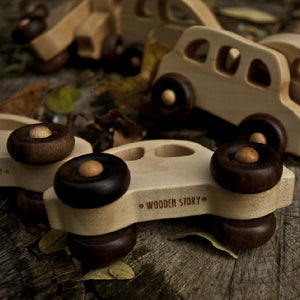 Wooden Story Eco Car